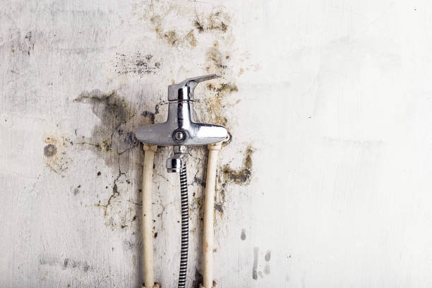 Best Mold Testing  in Coosada, AL
