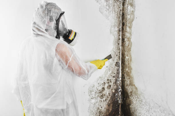 Best Residential Mold Removal  in Coosada, AL