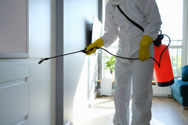 Professional Mold Removal in Coosada, AL
