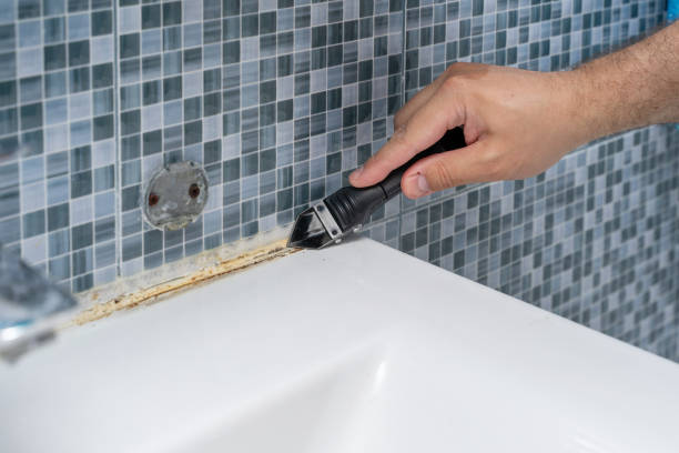 Best Mold Remediation Experts  in Coosada, AL