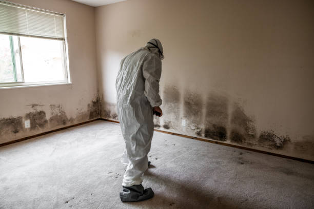 Best Water Damage Restoration  in Coosada, AL
